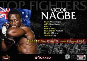 维克多 2015,回顾与展望