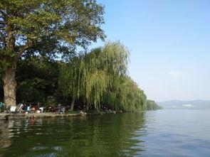 湖的另一头,神秘与奇遇的邂逅