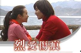 烈爱伤痕,揭秘情感纠葛中的心灵创伤